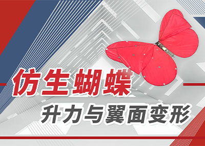 仿生蝴蝶升力与翼面变形