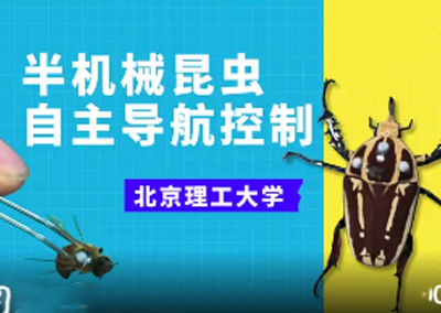 半机械昆虫自主导航控制