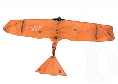 仿生扑翼飞行器,动作捕捉